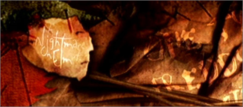 Nightmare on Elm Street Films [http://nightmareonelmstreetfilms.com]