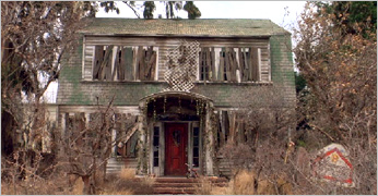 1428 ELM STREET