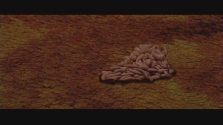Freddy vs. Jason: DVD Image Vault Gallery