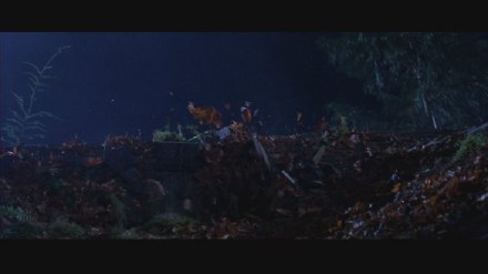 Freddy vs. Jason: DVD Image Vault Gallery