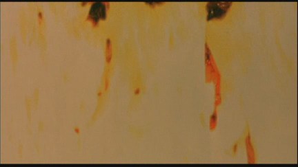 Wes Craven's New Nightmare: DVD Image Vault Gallery